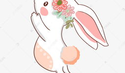 有关兔子的动漫,兔子的奇幻冒险之旅